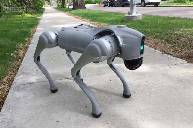 Unitree Go2: Robot Anjing (Doggy) Pintar Berbasis AI